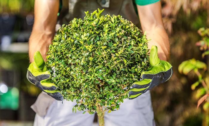 Garten Poolbauer in Wörrstadt