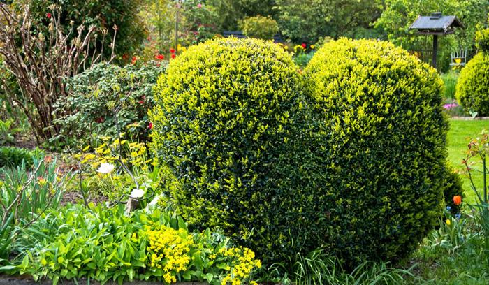 Pool Gartenbau für Wörrstadt